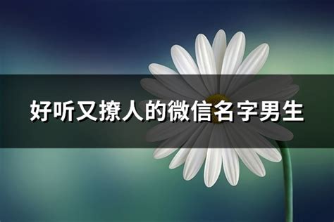 微信 名字|2050个简单好听的微信名网名,高雅不俗昵称（41